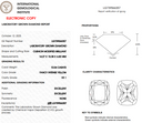 10.04ct Fancy Intense Yellow VS1 Cushion Modified Brilliant Cut Loose Diamond – IGI LG739566357