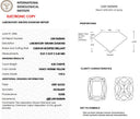 4.03ct Fancy Intense Yellow Cushion Modified Brilliant VVS2 Loose Diamond – IGI LG813625696