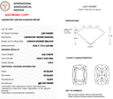 4.03ct Fancy Vivid Pink Cushion Modified Brilliant VVS2 Loose Diamond – IGI LG817696589