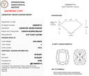 5.00ct E VVS2 Cushion Modified Brilliant Cut Loose Diamond – IGI LG836639176