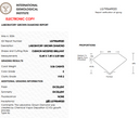 3.06ct E VVS2 Cushion Modified Brilliant Loose Diamond – IGI LG795649020