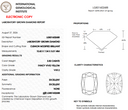 3.50ct Fancy Vivid Yellow VVS2 Cushion Modified Brilliant Cut Loose Diamond – IGI LG831602688