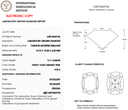 9.11ct Fancy Vivid Orangy Pink VVS2 Cushion Modified Brilliant Cut Loose Diamond – IGI LG813663156