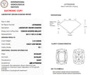 3.10ct Fancy Light Brown Cushion Modified Brilliant VS1 Loose Diamond – IGI LG792620342