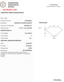 9.56ct Princess Cut E VS1 Loose Diamond – IGI LG799622663
