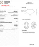 4.02ct E Color Oval Brilliant VVS2 Loose Diamond – IGI LG841612417
