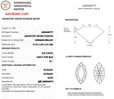 2.02ct Fancy Vivid Blue VS1 Marquise Brilliant Cut Loose Diamond – IGI LG825668779