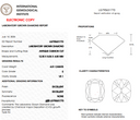 4.01ct E Old Miner VS1 Loose Diamond – IGI LG795631770