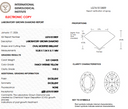 3.01ct Fancy Intense Yellow Oval Modified Brilliant VVS2 Loose Diamond – IGI LG761513809