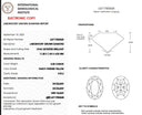 3.05ct Fancy Intense Yellow Oval Modified Brilliant VVS2 Loose Diamond – IGI LG717553625