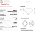 3.82ct E Oval Brilliant VS1 Loose Diamond – IGI LG828661932