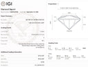 4.00ct E Oval VS1 Loose Diamond – IGI LG841643938