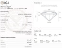 4.01ct E Oval VS1 Loose Diamond – IGI LG835635135
