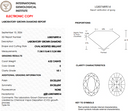 4.02ct E VS1 Oval Modified Brilliant Loose Diamond – IGI LG837689514