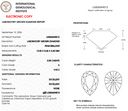 3.58ct E Pear Brilliant VVS2 Loose Diamond – IGI LG836694513