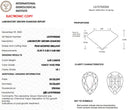 6.09ct Fancy Vivid Pink VS1 Pear Modified Brilliant Cut Loose Diamond – IGI LG757530265