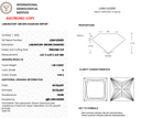 1.53ct E VVS2 Princess Cut Loose Diamond – IGI LG841633200