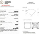 4.05ct E VVS2 Princess Cut Loose Diamond – IGI LG836634494