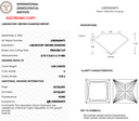 4.05ct E VVS2 Princess Cut Loose Diamond – IGI LG833624473