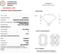 3.03ct E Radiant Cut VVS2 Loose Diamond – IGI LG790694417