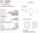 4.02ct Fancy Intense Yellow Radiant Modified Brilliant VS1 Loose Diamond – IGI LG795623099