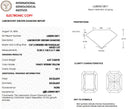 4.07ct Fancy Intense Yellow Radiant Cut VS1 Loose Diamond – IGI LG809613871