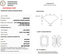 4.08ct Fancy Vivid Green VS1 Radiant Cut Loose Diamond – IGI LG804636328