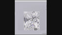 3.07ct E VVS2 Princess Cut Loose Diamond – IGI LG835645064
