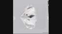 7.40ct F VVS2 Old European Cut Loose Diamond – IGI LG797650199