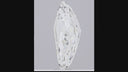 7.13ct F VVS2 Kite Step Cut Loose Diamond – IGI LG720509004