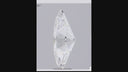 3.06ct E VVS2 Marquise Brilliant Loose Diamond – IGI LG836669917