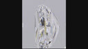 3.07ct E VVS2 Cushion Modified Brilliant Cut Loose Diamond – IGI LG840612389