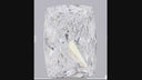 4.05ct E VVS2 Cushion Modified Brilliant Cut Loose Diamond – IGI LG843602385