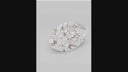 5.02ct E VVS2 Oval Brilliant Cut Loose Diamond – IGI LG843678191